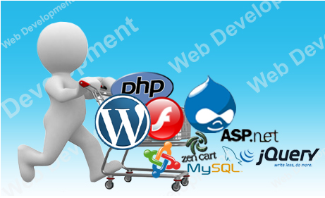 50-web-development